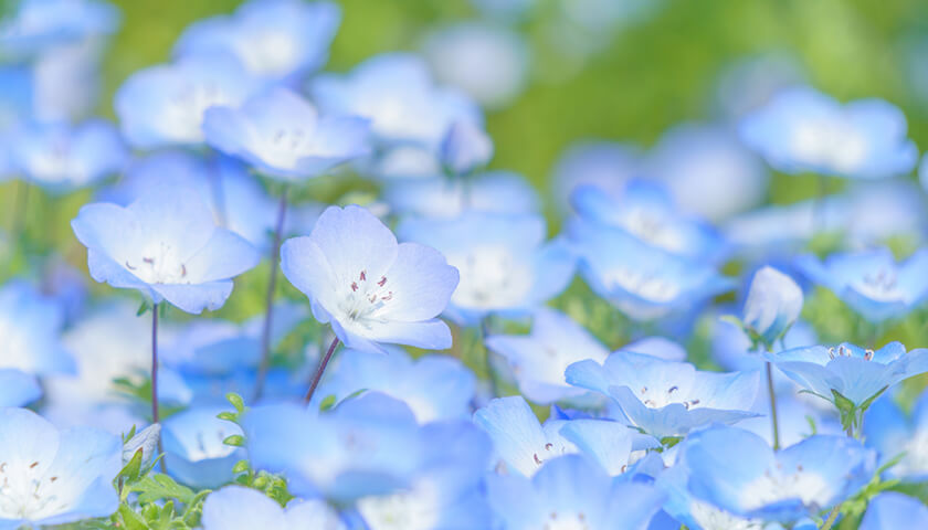 䤢Ӥ򤹤ȤβǥäȲ롣ŤɬפϤ롩