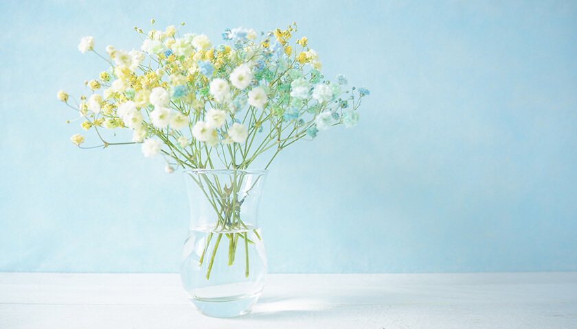 Ǥؤôʤˡǡߥθ򤷤ɤˡ롩