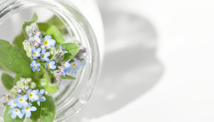 ķФƤ飱ǯνз졣ФκƳɤµβǽ롩