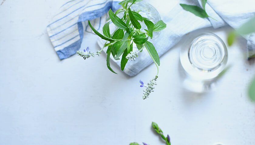 ǿͻư塢ˡʪݤ¿ȤäƤ뤬Ρ򤯤֤