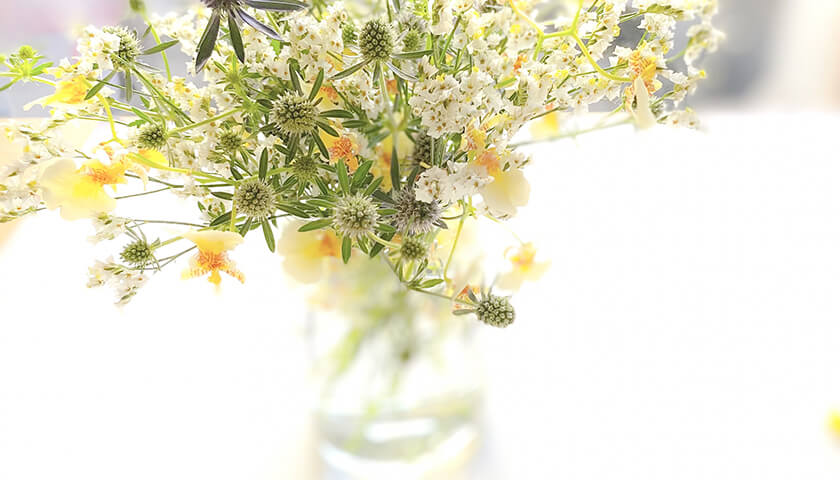 뤬ʤǸŤ餯ʤǤȡֳפȿǡѤΥߥ󥰤ϡ