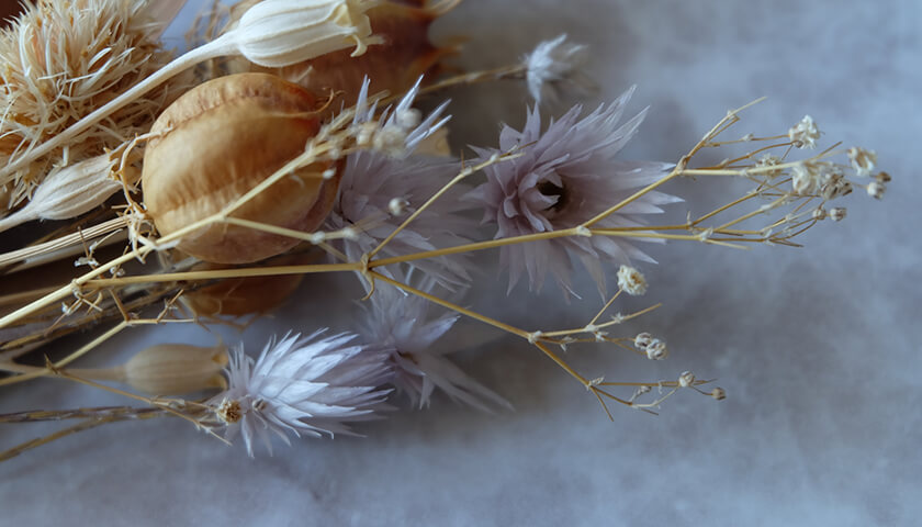 ƸζCTǡַơפŦ줿٤󤬿