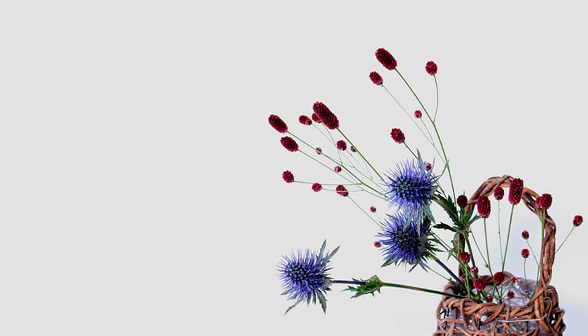 줬찵ˤչŲɤȿǡĤݥȤϡ