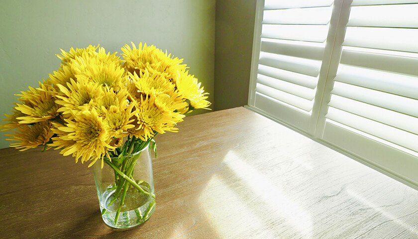 μ­ˤĤδ֤ˤǤƤ롣֤ƤƤס