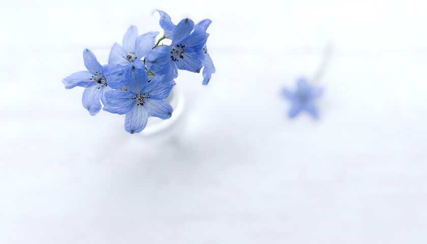 ƱǯƱνˡָФפĤä󤫤ɤ狼륵󤬤Τꤿ