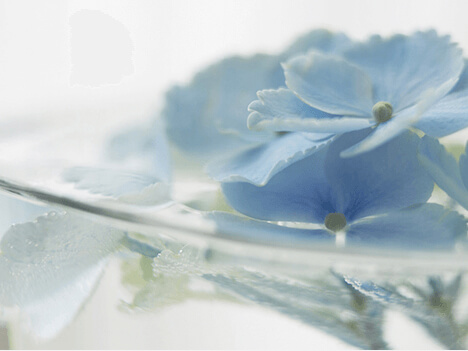 ĤŤȡ֥Υߡ饹ɸפˤʤ䤹ɤµΤꤿ