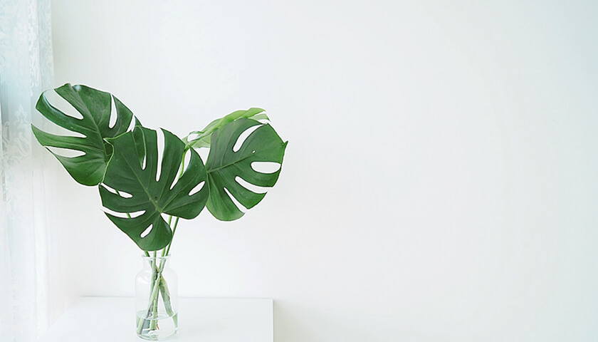 οͤǤ˴԰¡ξɾ伣ˡʤɤΤꤿ