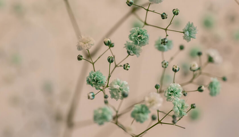 ڥ륬ɸȿǤ줿ƱνȤΡߥ˥ΥĤϤ롩