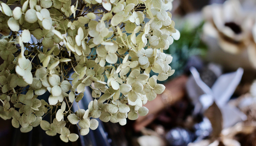 إڥˤʤꡢӤ줬ĤäӾ׿Τ褦˸ɤ롩