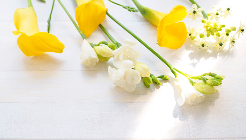 ׼դˤߤ´롣ͤµȼˡΤꤿ