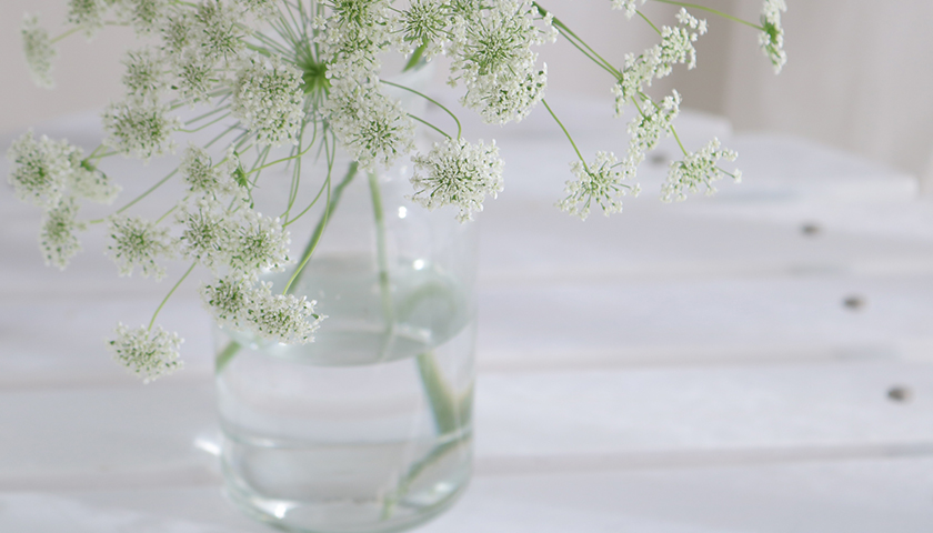 ͤޤäꡢ㲻㳲İȿǡȯİȤϰ㤦