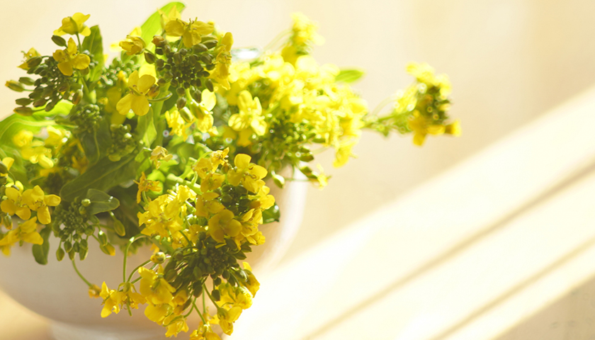 ξɾ߿ƻήɤȽȰ߿ƻήɤδطΤꤿ