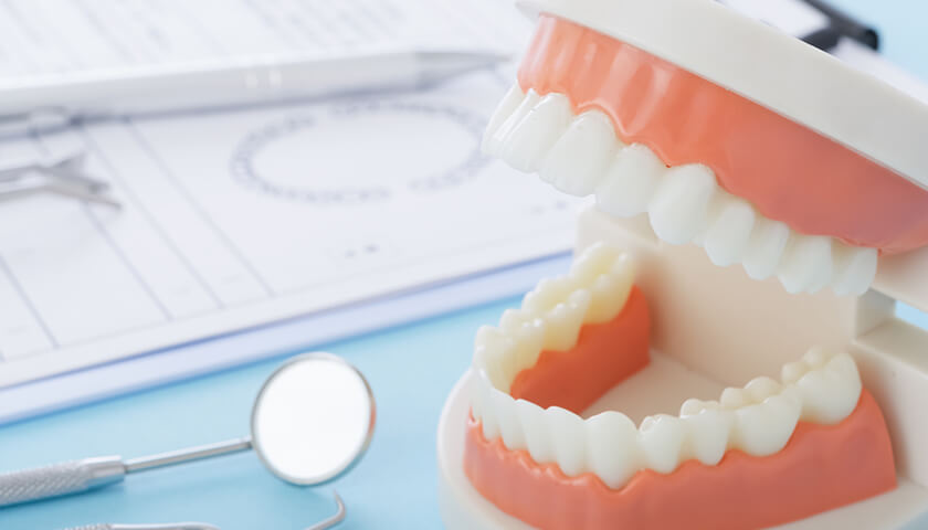 鷺ץȤƤåȡǥåȤϡ