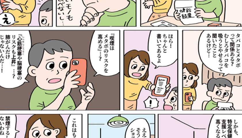 κΥơޡ ֥Хȥ᥿ܡפϤɤʴطΡ