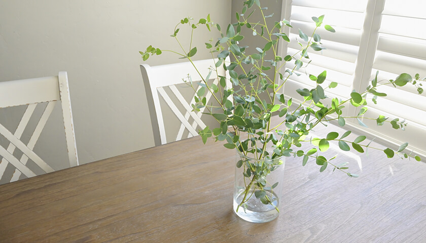 ֥ӥפȿǤ줿ʹʤ̾԰¡ɤµ