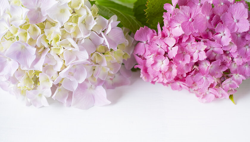 벦ڳνˤʤ롣ΩʤˤϼѤɬס