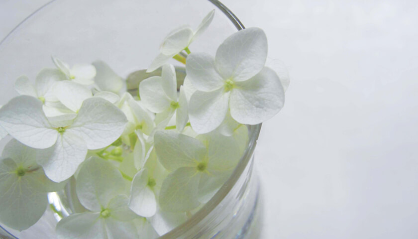 ¿ȯҵܶڼ𤬸ĤäķдֶѤɬס