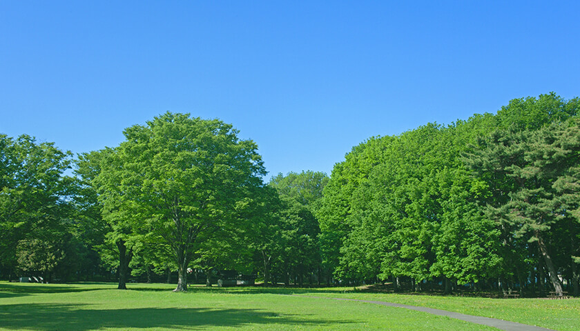 ˴ʤꡢΤʤ㡣¤ˤʤʤ