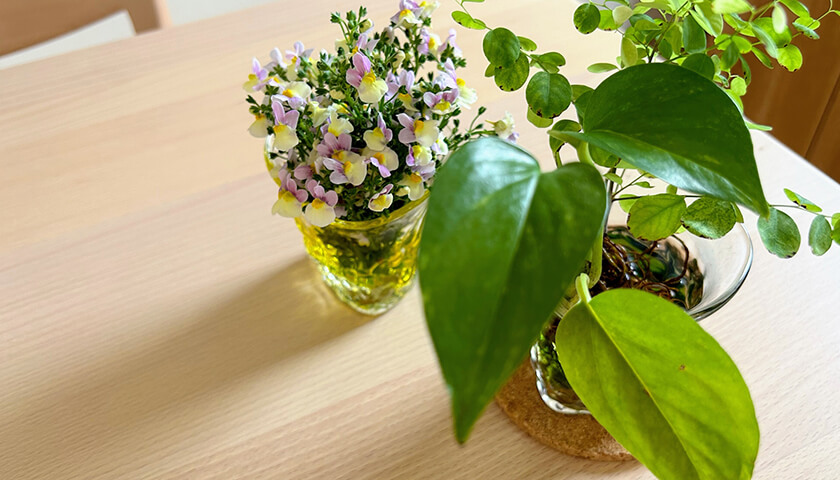 ƥͤǲʤФͻءѤ򤷤ۤ褤